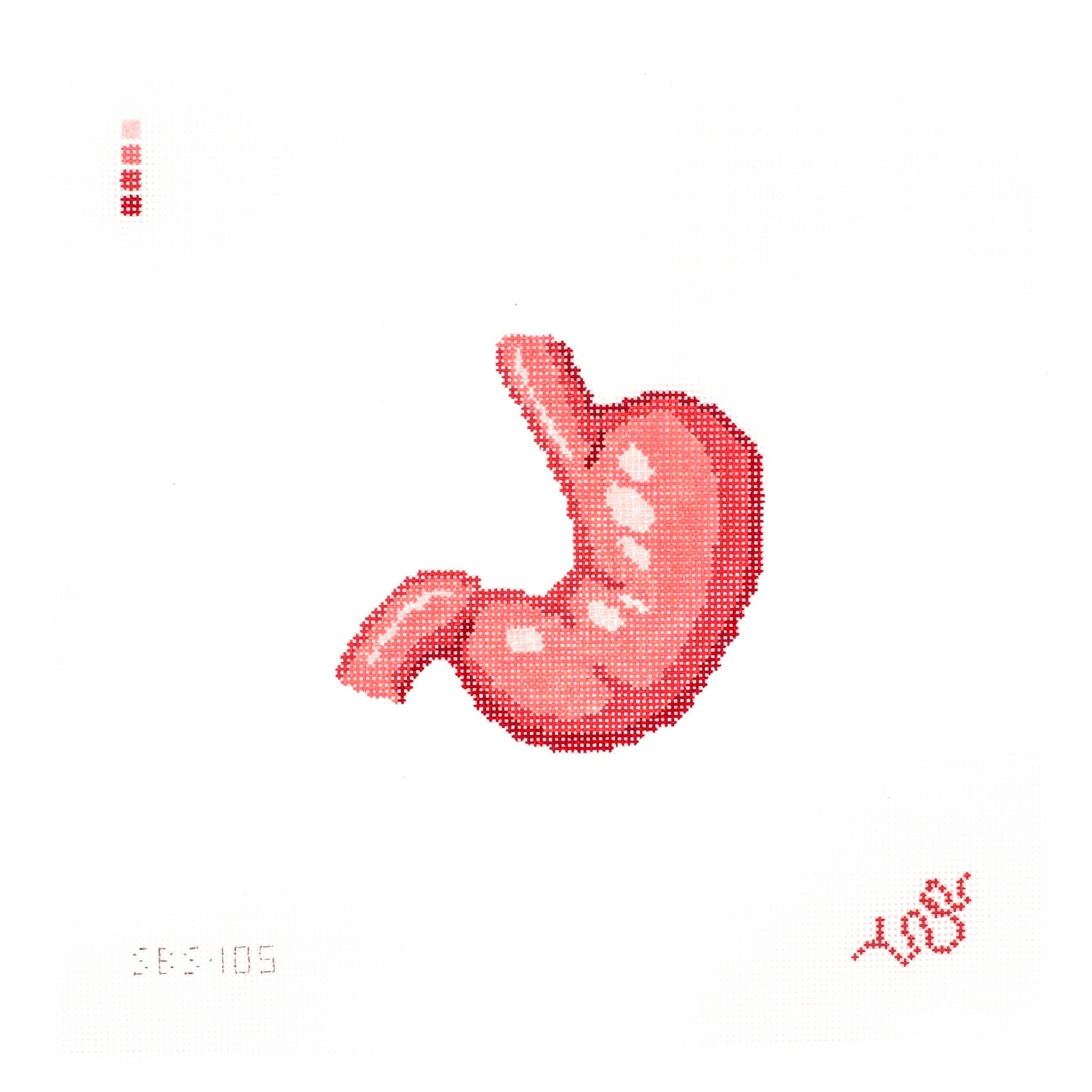 Human Anatomy Series