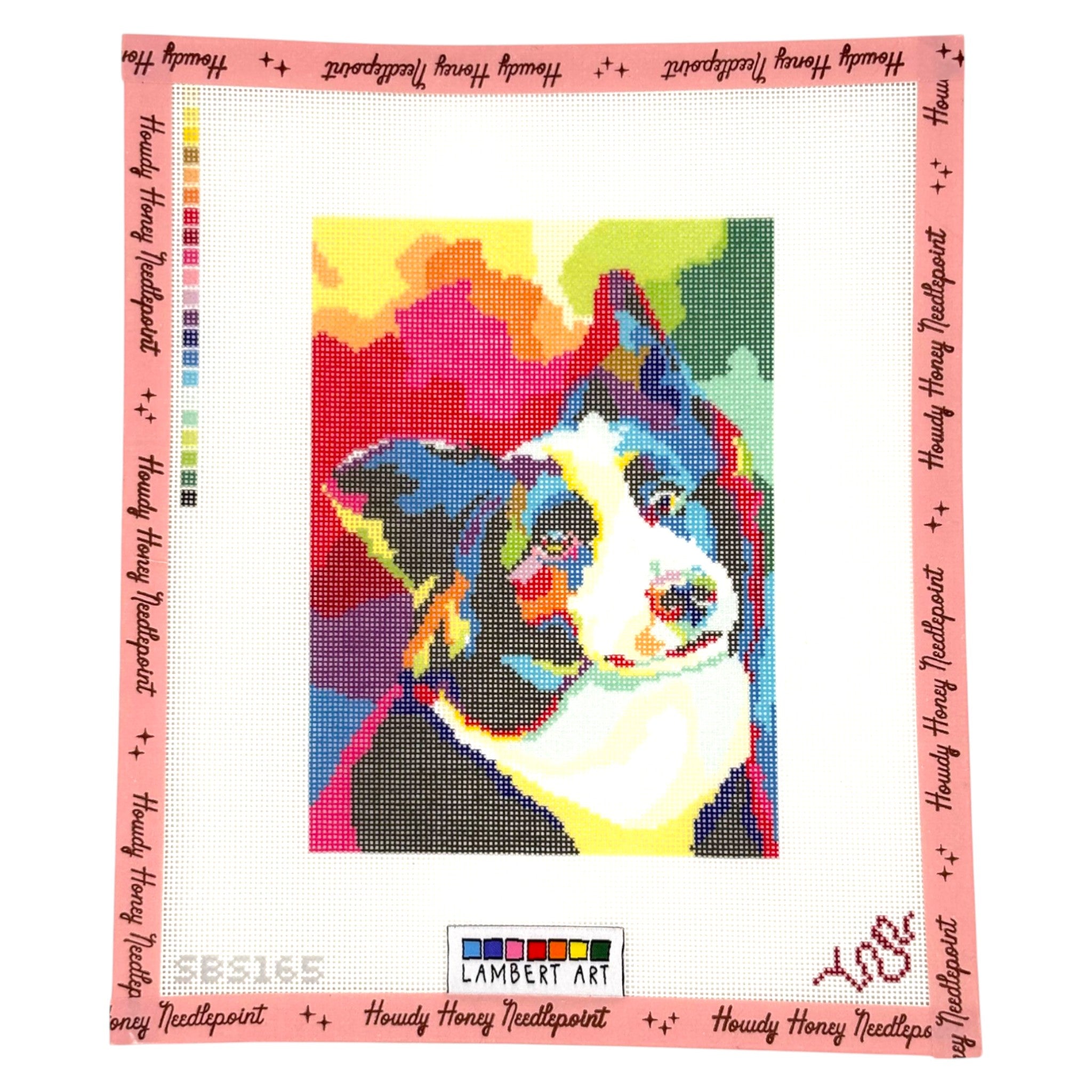 Tie Dye Border Collie