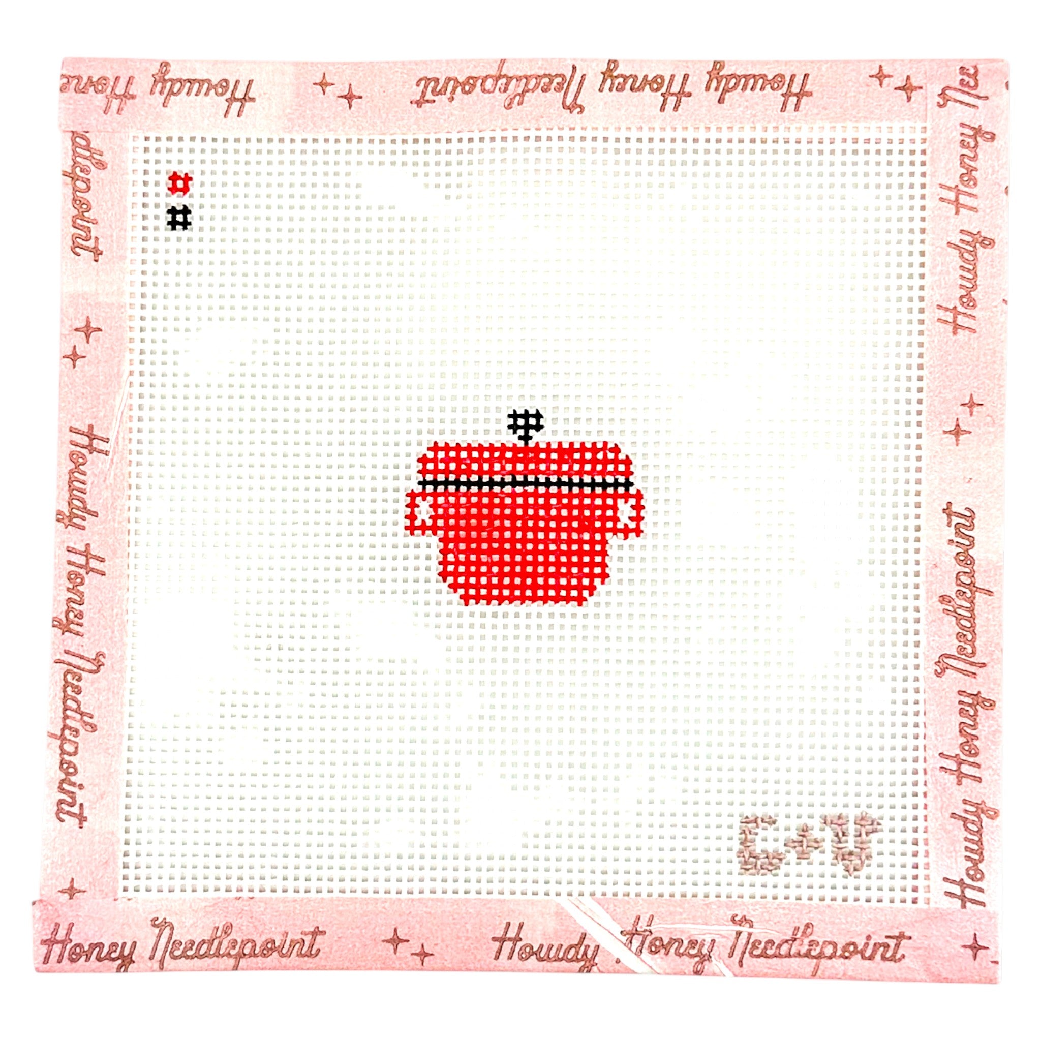 Needlepoint Beginner Kit