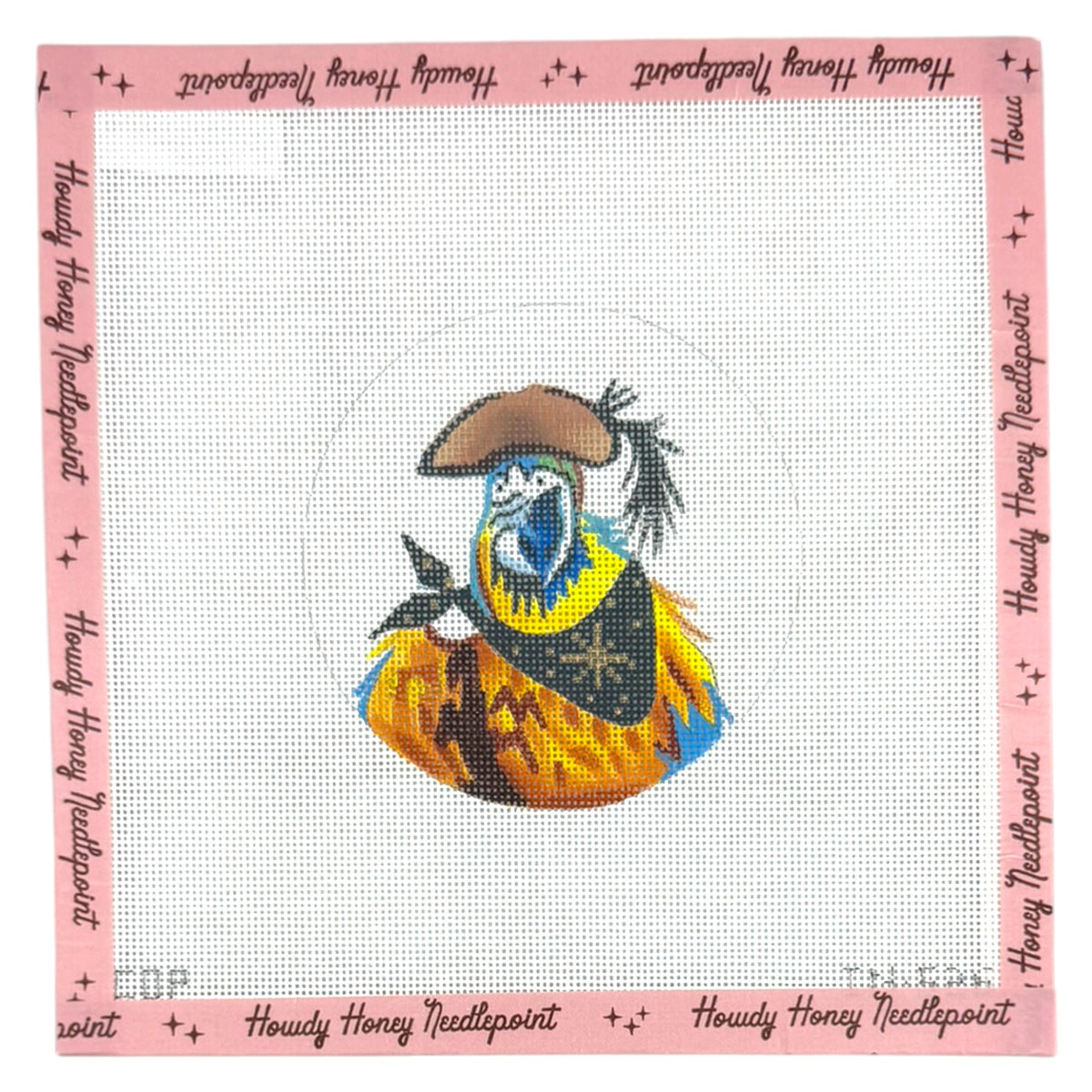 Pirate Parrot