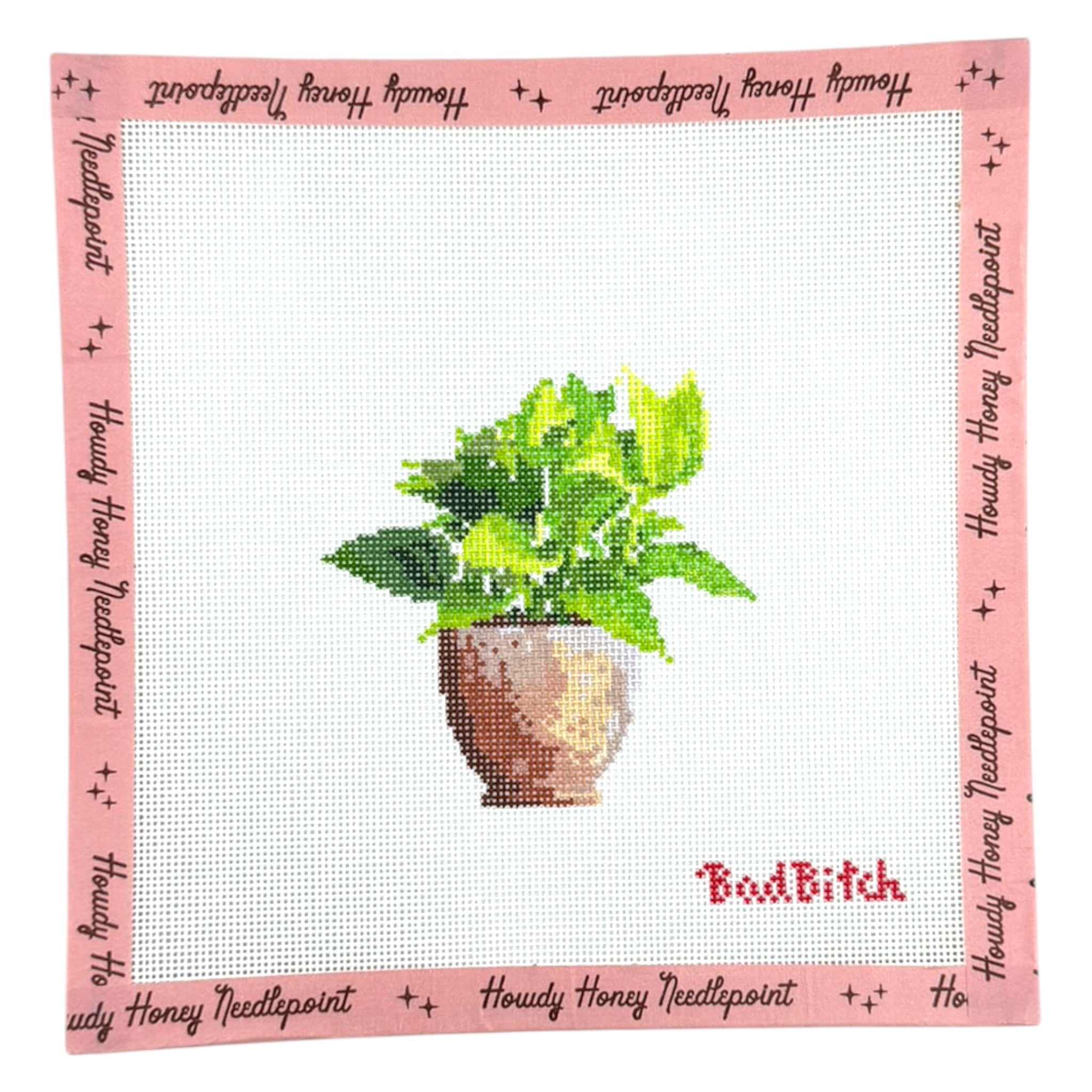 Pothos in a Pot