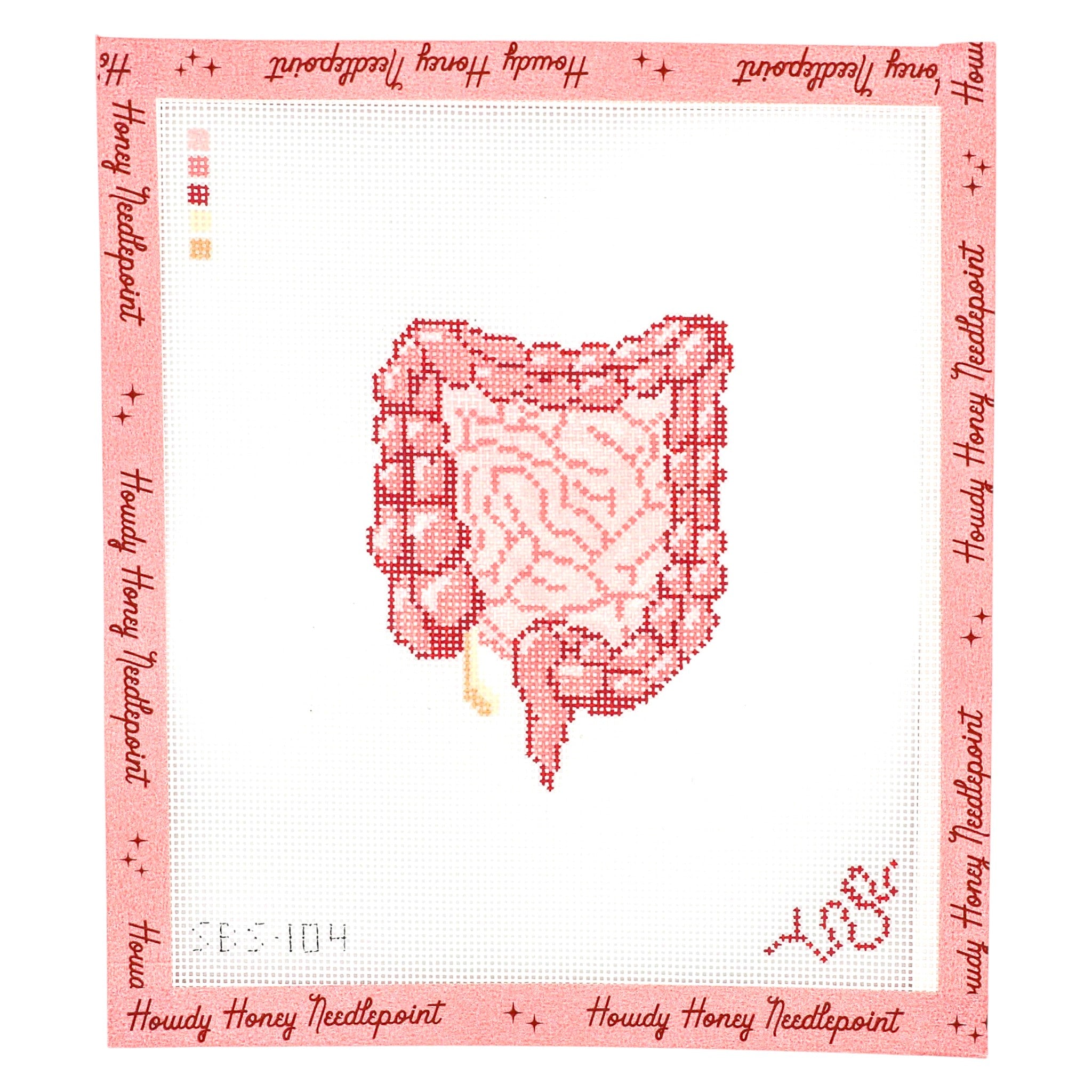 Human Anatomy Series