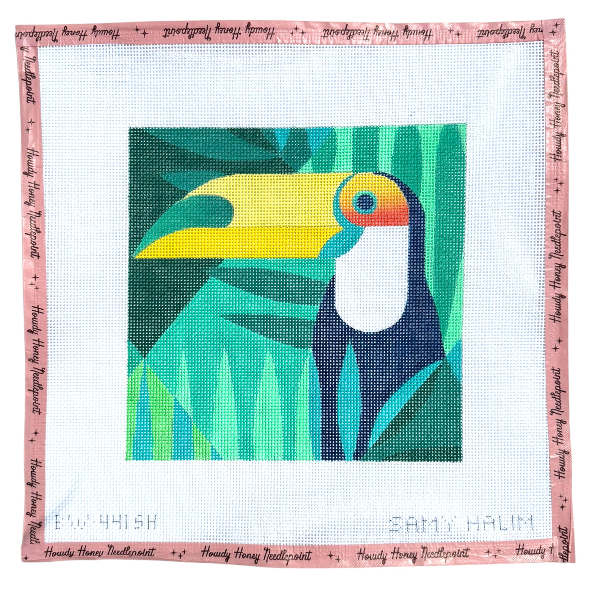 Toucan Pillow